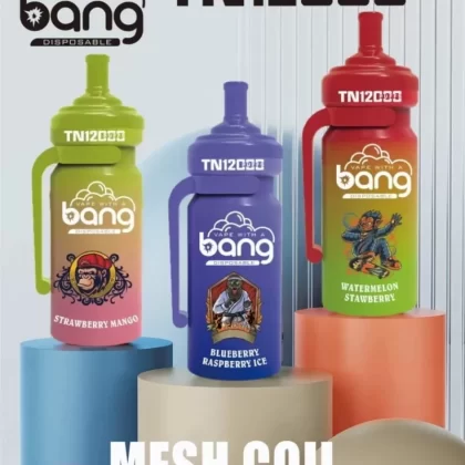 Bang TN 12000 Puffs | 0%-5% strength, rechargeable mesh coil, bulk disposable vape - Aiviouvapes