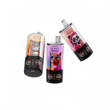 Bang Leader Stoll 100000 Puffs 4-in-1 Disposable Vape - Lemon Lime & Watermelon Ice & Black Dragon Ice Dragon Fruit Strawberry & Love 666, Vanilla Cola & Lemon Peach & Strawberry Raspberry C