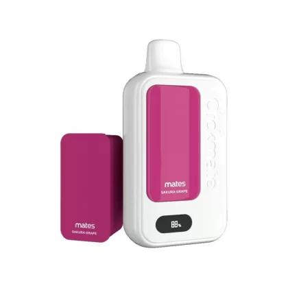 7 Daze Clickmate 15K Puff Disposable KIT (5% Nicotine) - 15,000 Puffs - Icy Blast
