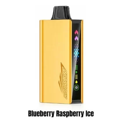 Blueberry Raspberry Ice – JNR Cruiser - JNR / Non-rechargeable / Large / Blueberry / Raspberry