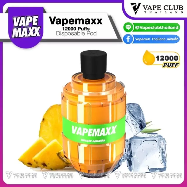 Vapemaxx 12000 Puffs Disposable Pod - Image 2