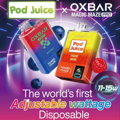 Pod Juice x OXBAR Magic Maze Pro 10K Disposable Device – 10,000 Puffs - Fruit Paradise