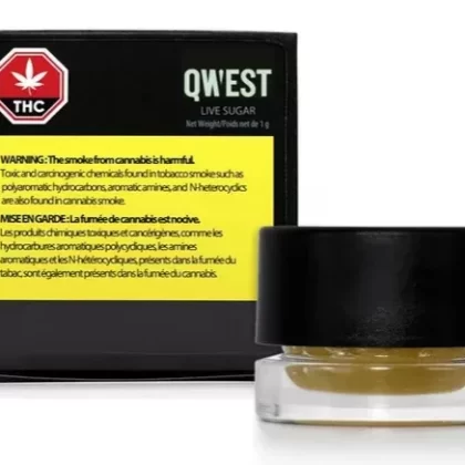 TSK Qwest Apricot Kush Live Sugar Concentrate