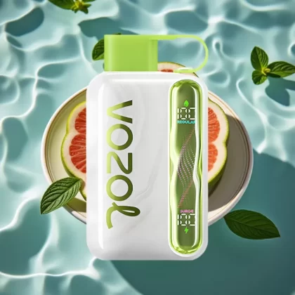 VOZOL STAR 40000 Puffs Cool Mint Disposable Vape – 1000mAh Battery, Type-C Charging, 20/50mg/ml Nicotine - Bangvapeaustralia