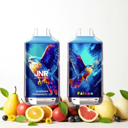 JNR Falcon 16000 Puffs Disposable Vape - Vapeyoo