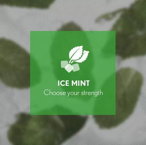 Ice Mint By Blast E-Liquid 10ml