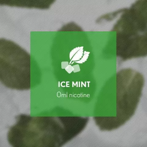 Ice Mint By Blast E-Liquid 10ml - Image 2