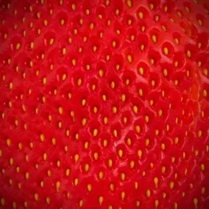 Strawberry Reign E-Liquid