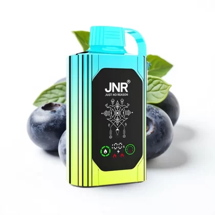 JNR Shisha Hookah Box 20500 Puffs Menta Arándano, 25ml, Doble Malla