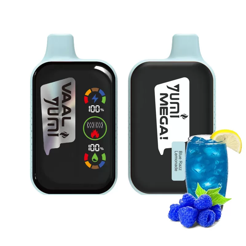 YUMI & VAAL Mega 20000 Puffs Rechargeable Disposable Kit 650mAh - Mango Peach / 50mg / CN-SZ - Image 3