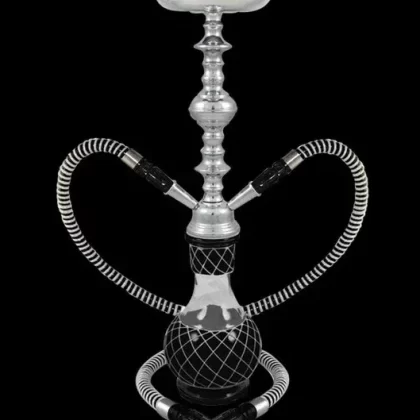 Nicolette 2-Hose Premium Hookah - Vape Store