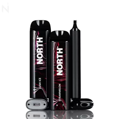 North 5000 Puffs Disposable - 10mL - Blue Raspberry