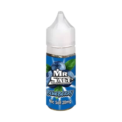 Mr Salt saltnic Blueberry Vape Juice - 10 Pack - 10mg