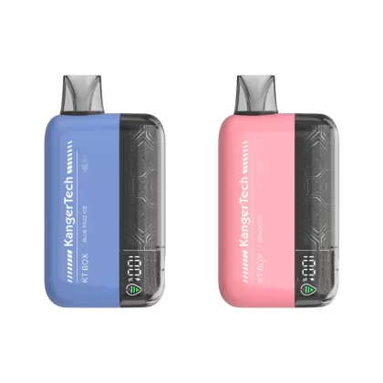 Kanger KT BOX 15000 Disposable Vape