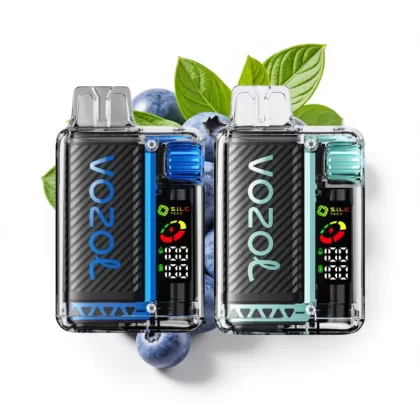 VOZOL Vista 20k 20000 Puffs Disposable Vape - Vapeyoo