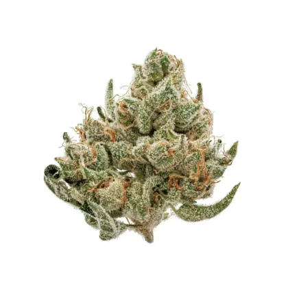 INDO 28g I-95 Cookies Flower INDO