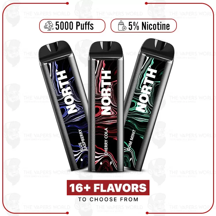 North 5000 Puffs Disposable Vape - Thevapersworld