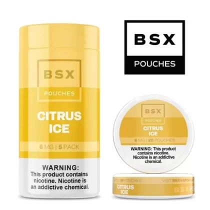 BSX Nicotine Pouches (Pack of 1)
