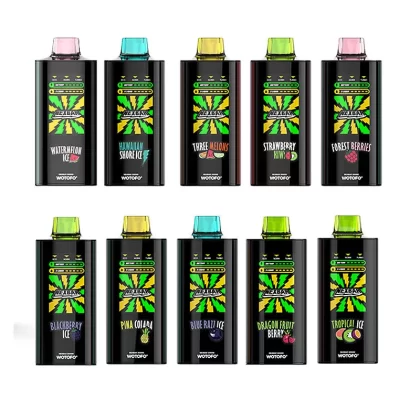Wotofo nexBar 20K Rechargeable Disposable Vape Kit - Blue Razz Ice / 20mg / CN-SZ Warehouse
