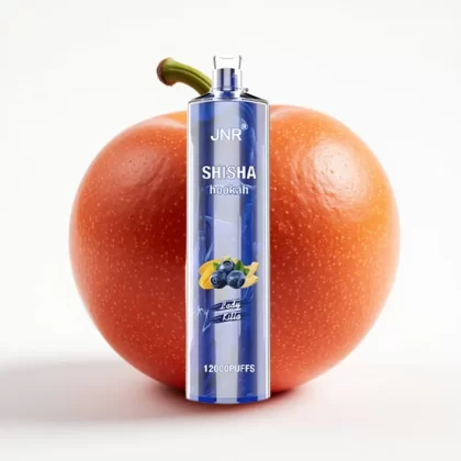JNR Shisha Hookah 12000 Puffs Lady Killa 24ml 750mAh Tipo-C - Fumotvapemexico