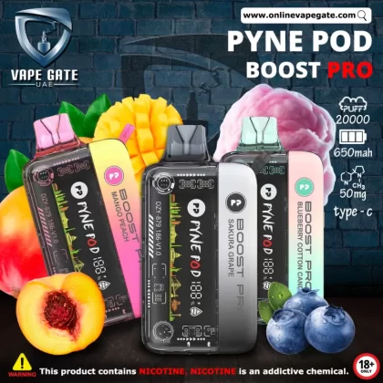 Pyne Pod Boost Pro - Rechargeable Disposable Vape (20,000 Puffs) - Blueberry Ice / 50 mg