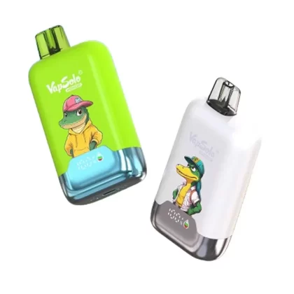 Vapsolo Honor 20000 Puffs Disposable Vape - Flavors#Watermelon ice>Cherry Cola ice>Strawberry Kiwi>Strawberry Watermelon>Aloe Grape>Mixed Berries>Cool Mint>Blueberry Raspberry Lemon>Kiwi Pas (A2697D)