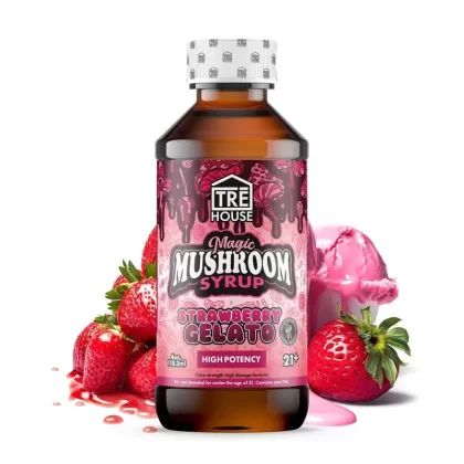 Tre House Magic Mushroom Strawberry Gelato Syrup - Count#1 Pack>2 Pack (10% off)>3 Pack (10% off) (6C1977)