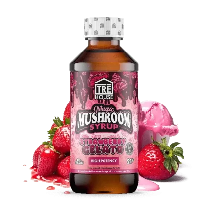 Mushroom Syrup – Trehouse - flavor#Strawberry Gelato (24D44C)