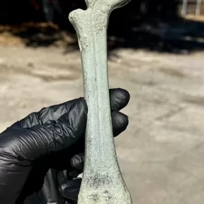 Grimeglass Bone - Ejuicewarehouse