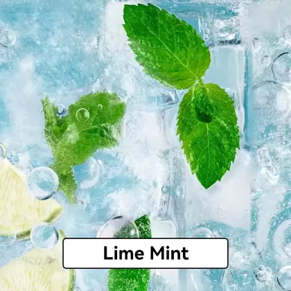 Relx Infinity Pod Gen6 2 pods pack – Lime Mint - Vape Store