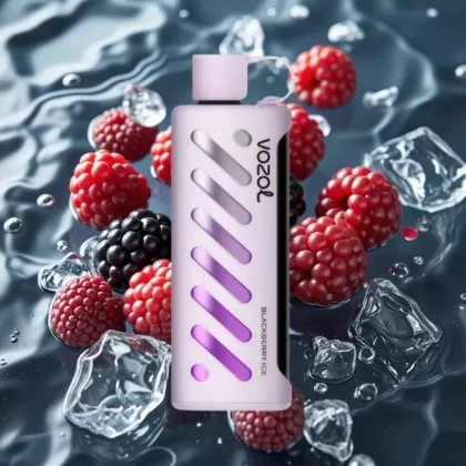 VOZOL Gear Shisha 25000 Puffs Dual Mesh Disposable Vape Blackberry Ice 5mg - Bangvapeaustralia