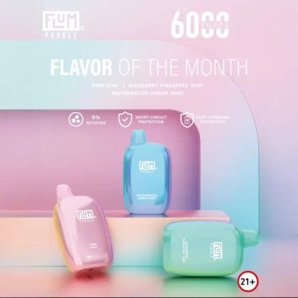 FLUM Pebble 6000 Disposable Device – 6,000 Puffs - Blueberry Pineapple Kiwi