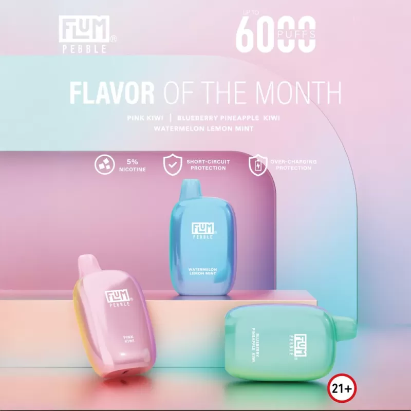 FLUM Pebble 6000 Disposable Device – 6,000 Puffs - Blueberry Pineapple Kiwi