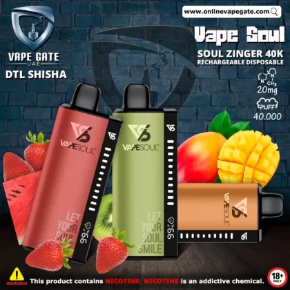 Vape Soul Zinger 40K Rechargeable Disposable Vape (40,000 Puffs) - Blueberry / 20 mg