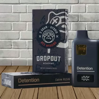 Dropout Detention Series THCa Disposable | Potent & Flavorful Vape - strain#Kush Burst>Red Wedding>Pink Rhino>Kushberry Blue>Sour Tangie>Candy Jack (152A81)
