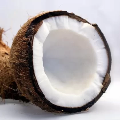 Coconut Vapour Days Flavour E-Liquid - Vapourdays Co