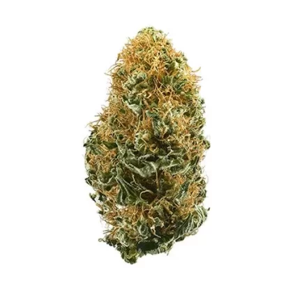 WHITE WIDOW - Ukvapehouse (F6FF11)
