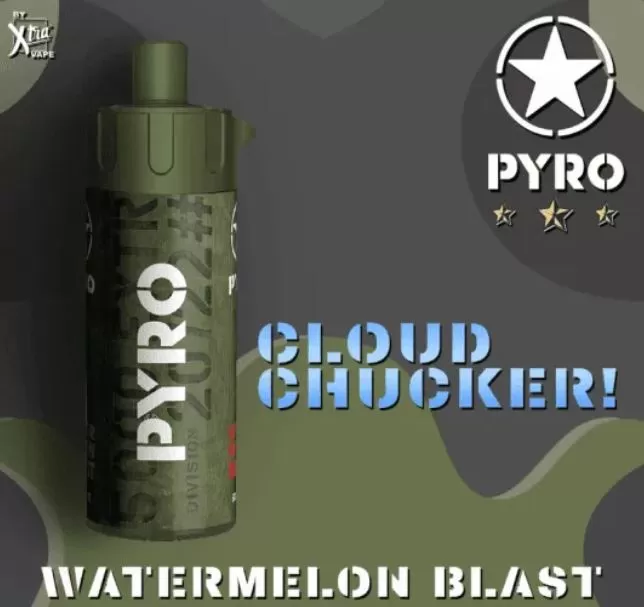 PYRO 12000 PUFFS MTL / DTL DISPOSABLE VAPE - 3 mg / Mint - Image 2