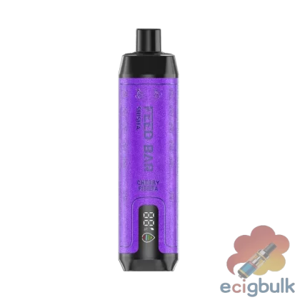 Vapsolo Feed Bar Disposable Vape – 25ML, 650MAH, 15000 Puffs