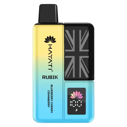 Hayati Rubik 7000 Disposable Vape Kit - H' Bubba pack of 5