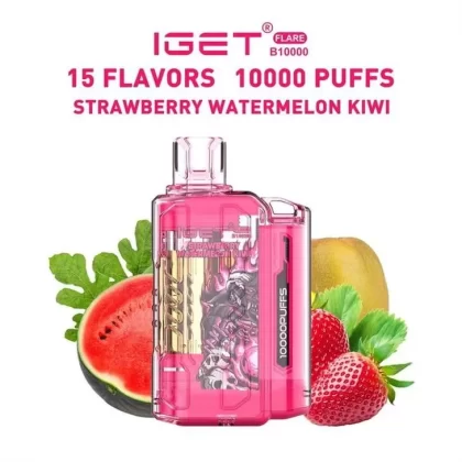 IGET FLARE B10000 PUFFS - Mountain Spring Mint, Watermelon Ice