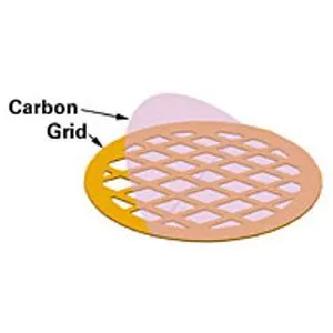 Carbon Film only on 300 mesh (20-30nm)