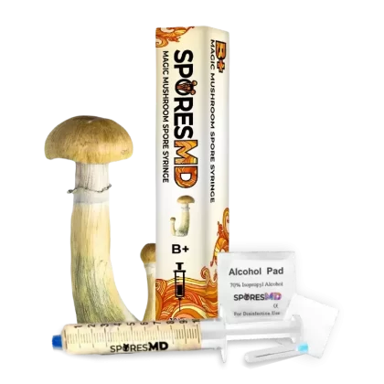 SporesMD B+ Mushroom Liquid Culture (10ml) - Ejuicewarehouse
