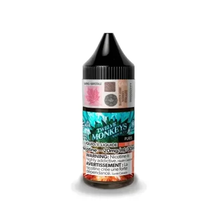 TWELVE MONKEYS ICE SALT 30 ML – PURIS