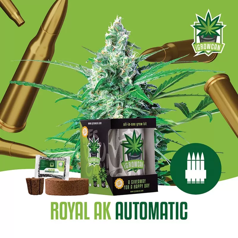 Royal AK Automatic iGrowCan – All in One Grow Kit