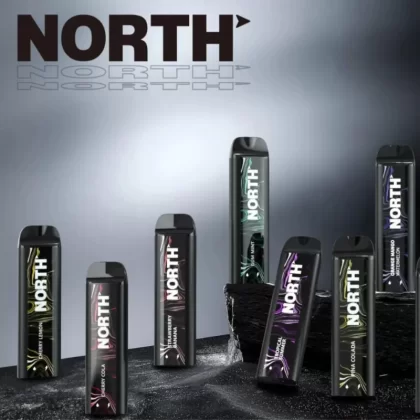 NORTH 5000 Rechargeable Disposable Device – 5000 Puffs - Raspberry Lemon