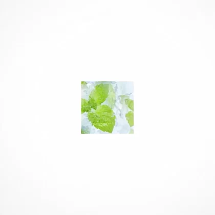 TFA Mentol Líquido (PG) – Soluble en Agua
