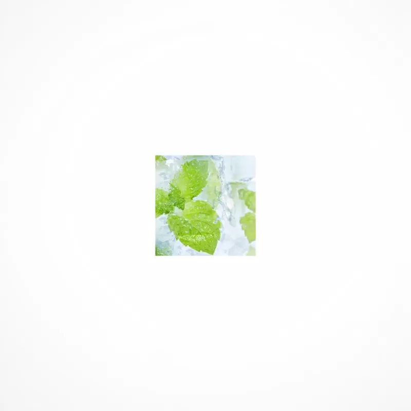TFA Mentol Líquido (PG) – Soluble en Agua