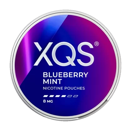 Blueberry Mint XQS Nicotine Pouches - Vapeshop Co