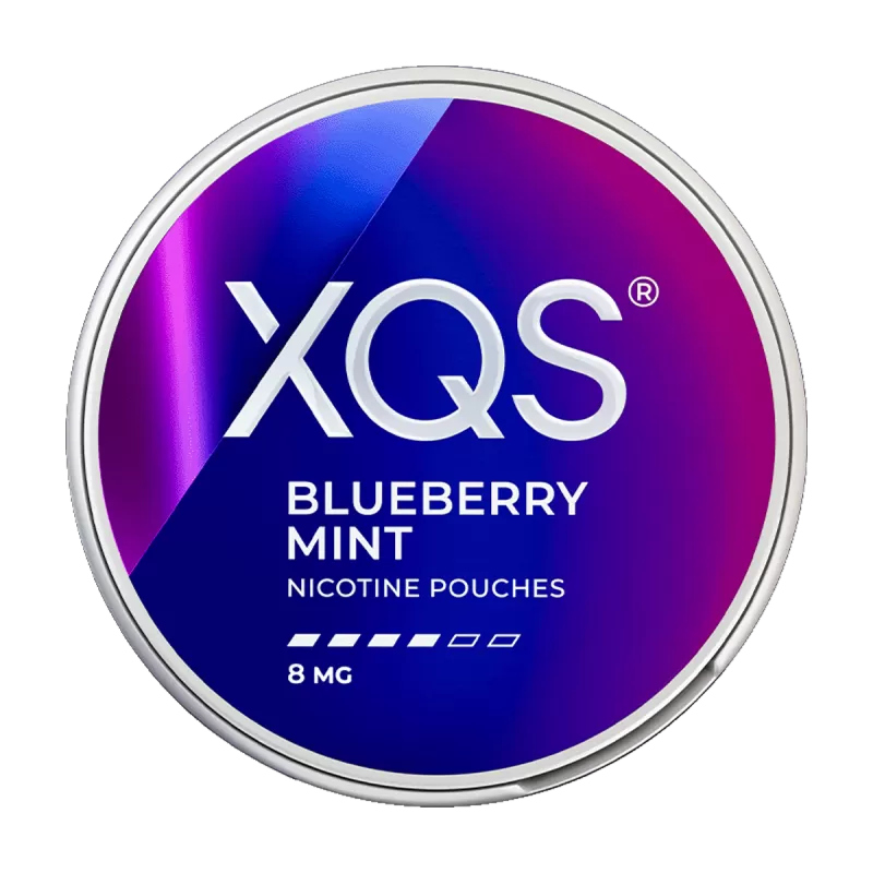Blueberry Mint XQS Nicotine Pouches - Vapeshop Co